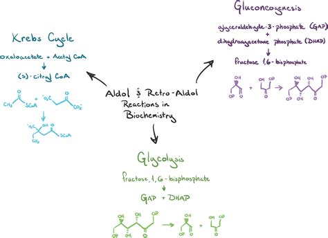 khan academy chemistry|khan academy biochemistry tests.